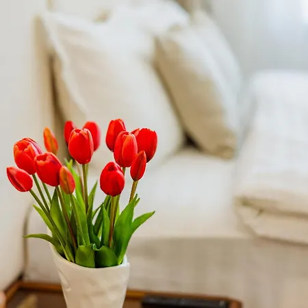 New Style View - Self Check-in - Free Parking * Брашов