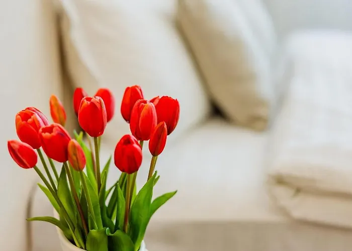 New Style View - Self Check-in - Free Parking * 브라쇼브